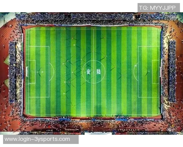 足球之夜刘建宏带你领略激情四溢的绿茵场精彩瞬间与幕后故事