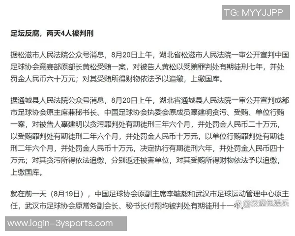 足球员因判罚不满与裁判发生冲突引发赛场暴力事件分析